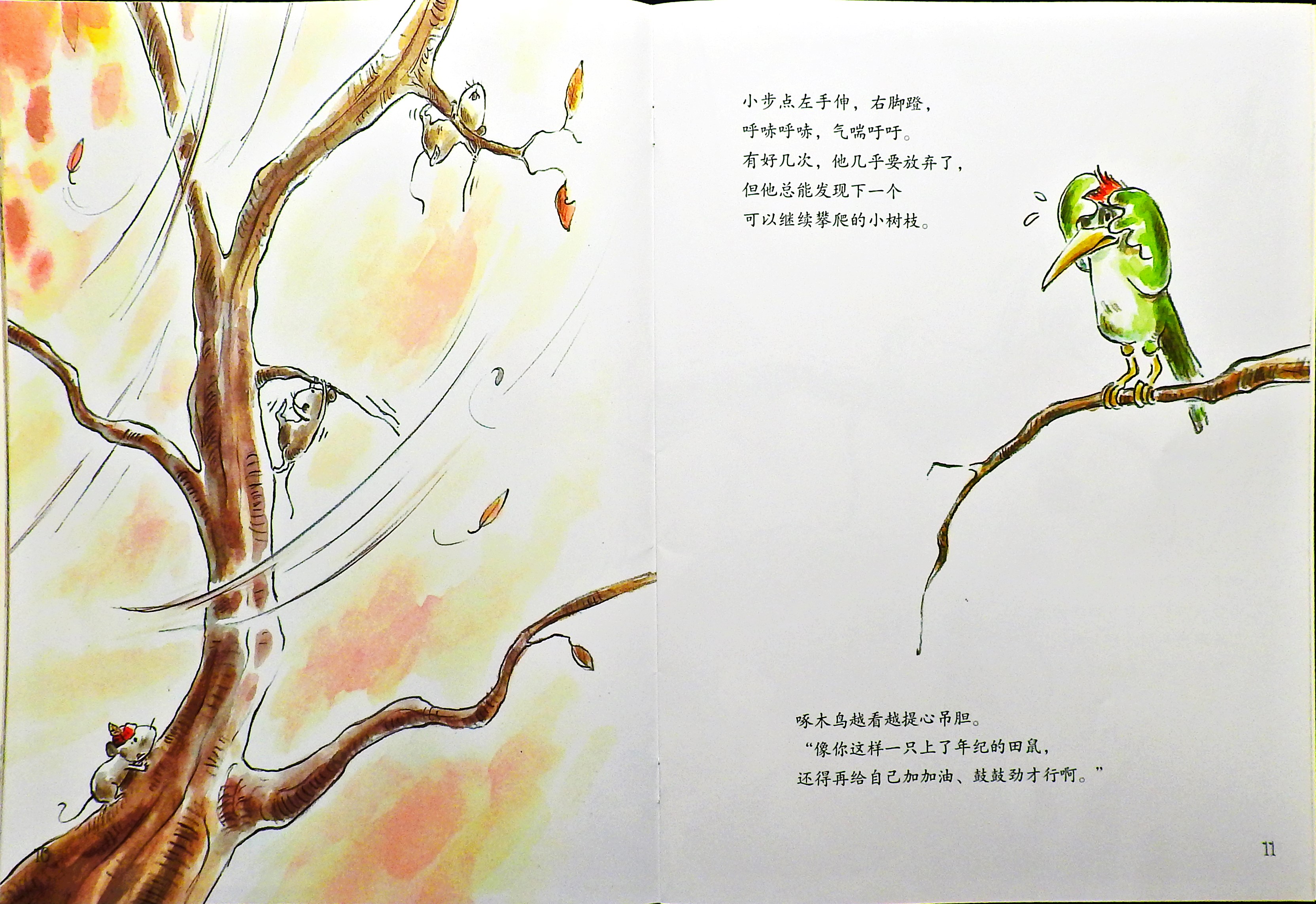 小步点的收藏品 (09),绘本,绘本故事,绘本阅读,故事书,童书,图画书,课外阅读